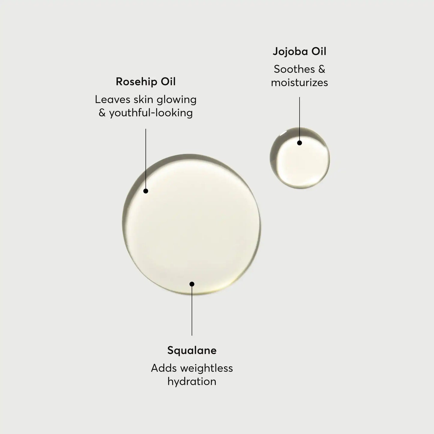 the-glow-getter-body-oil-l0 NATR-10115-Alt-Images-The-Glow-Getter-Body-Oil-01.webp