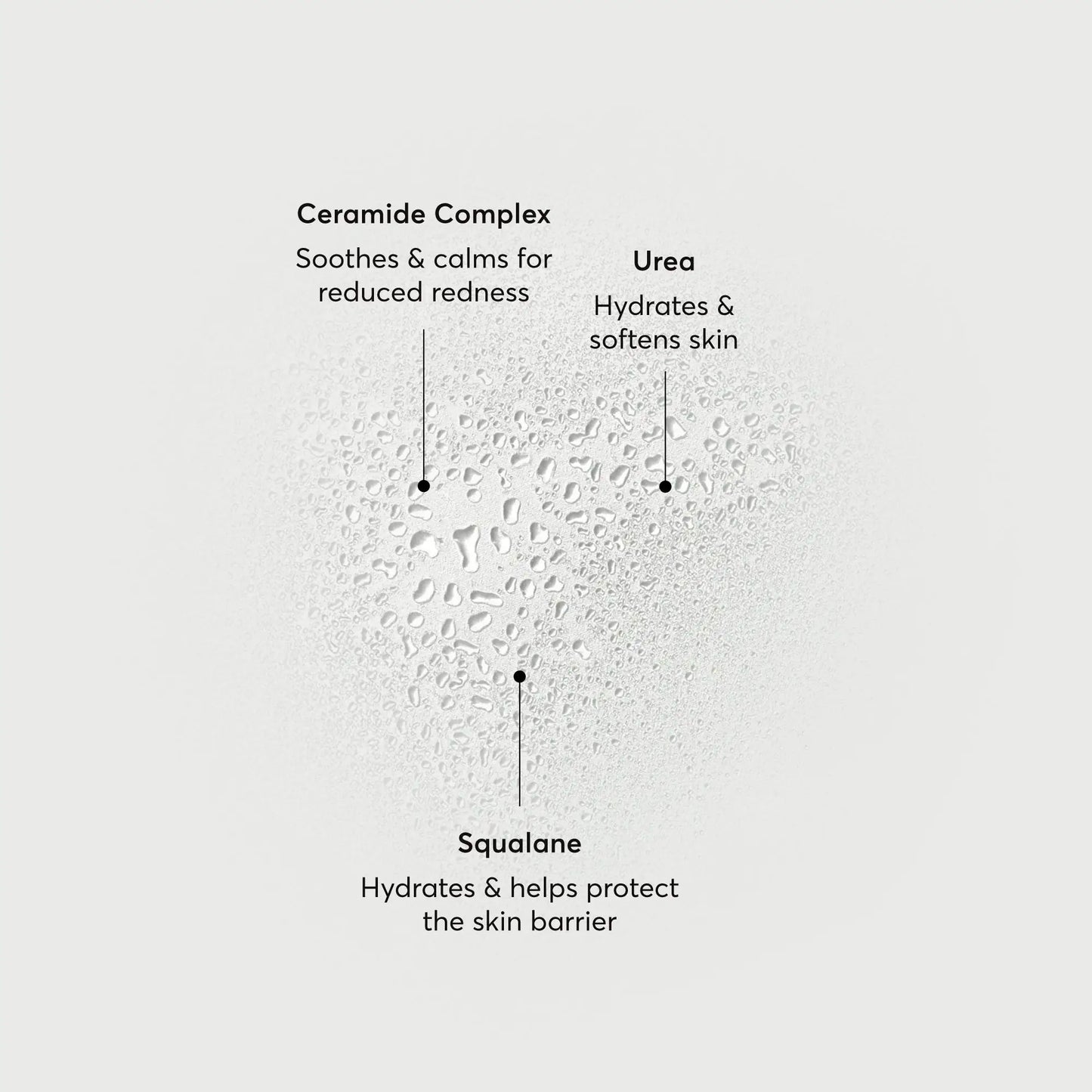 barrier-bounce-bi-phase-mist-i0 NATR-10167-Alt-Images-Barrier-Bounce-Bi-Phase-Toner-Mist_01.webp