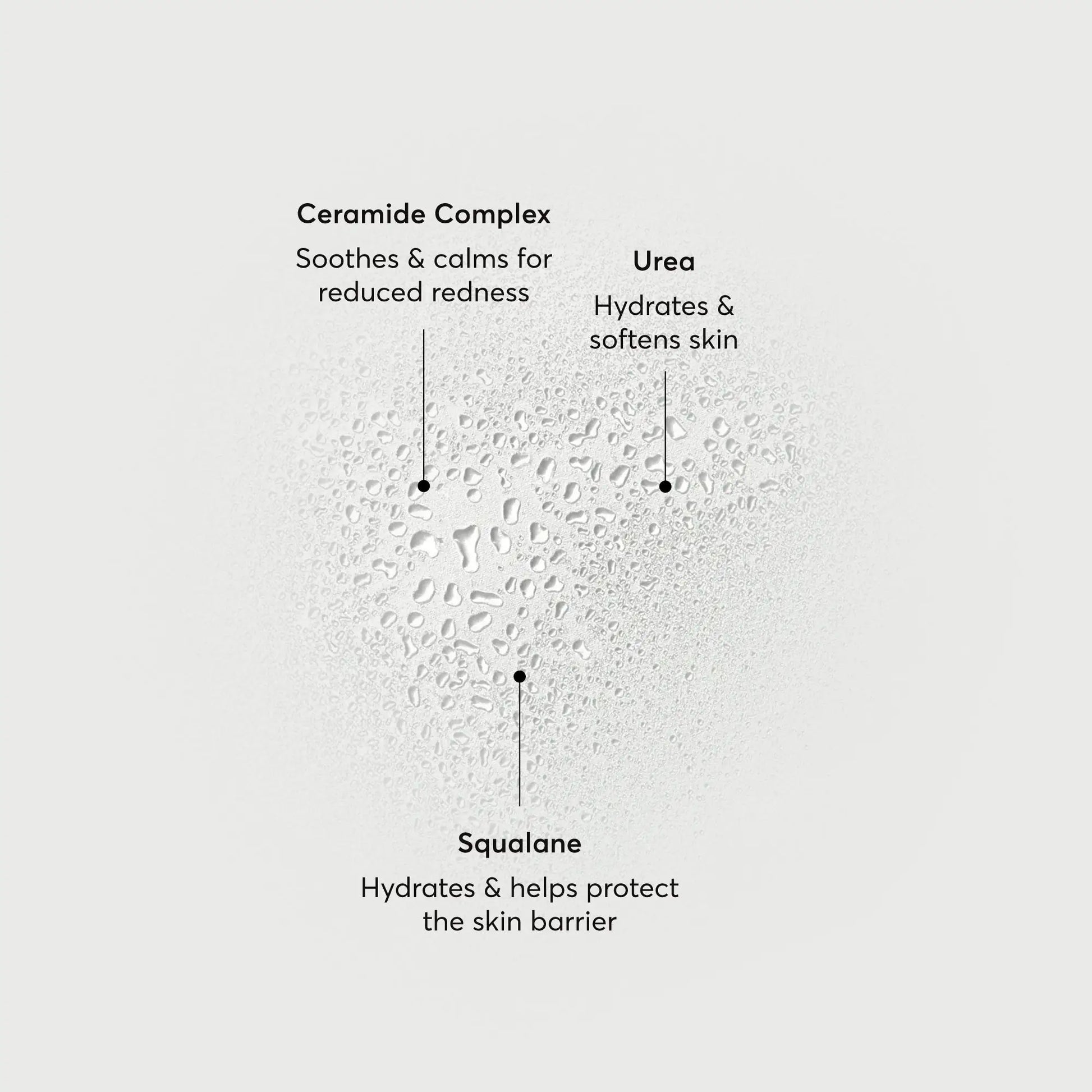 barrier-bounce-bi-phase-mist-i0 NATR-10167-Alt-Images-Barrier-Bounce-Bi-Phase-Toner-Mist_01.webp
