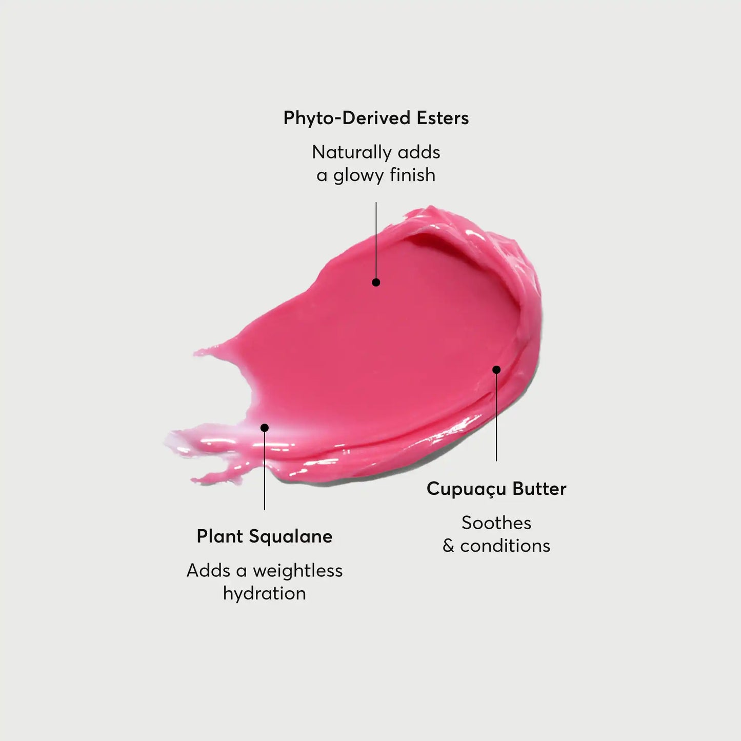 phyto-glow-lip-balm-camellia-r0 NATR-60075-Alt-Images-Phyto-Glow-Lip-Balm-Camellia-01.webp